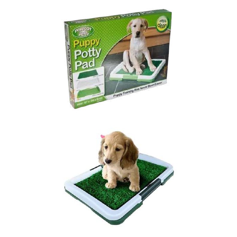 Baño ecológico de mascota