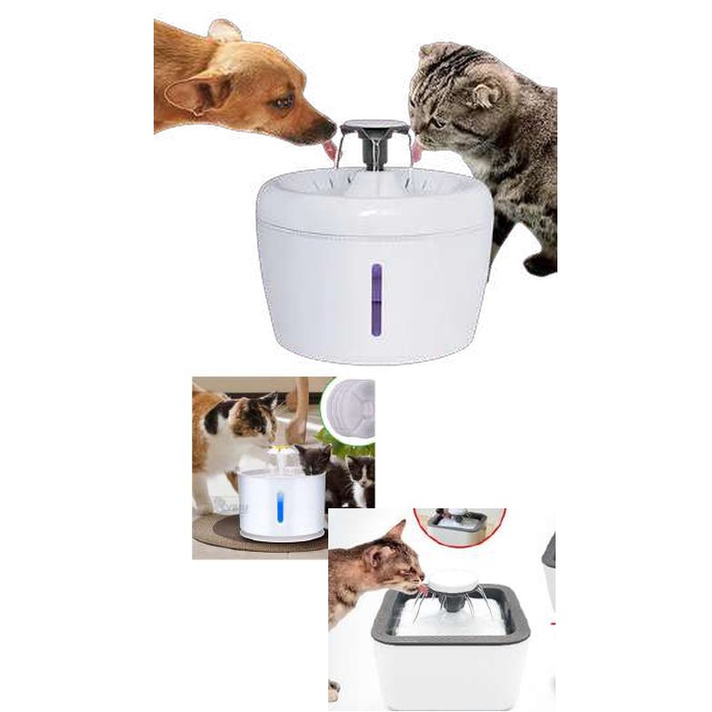 Dispensador de agua para mascota
